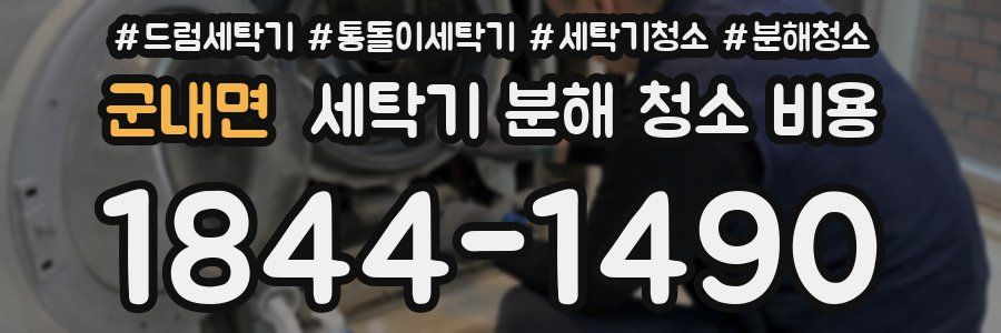군내면 세탁기 분해 청소 비용