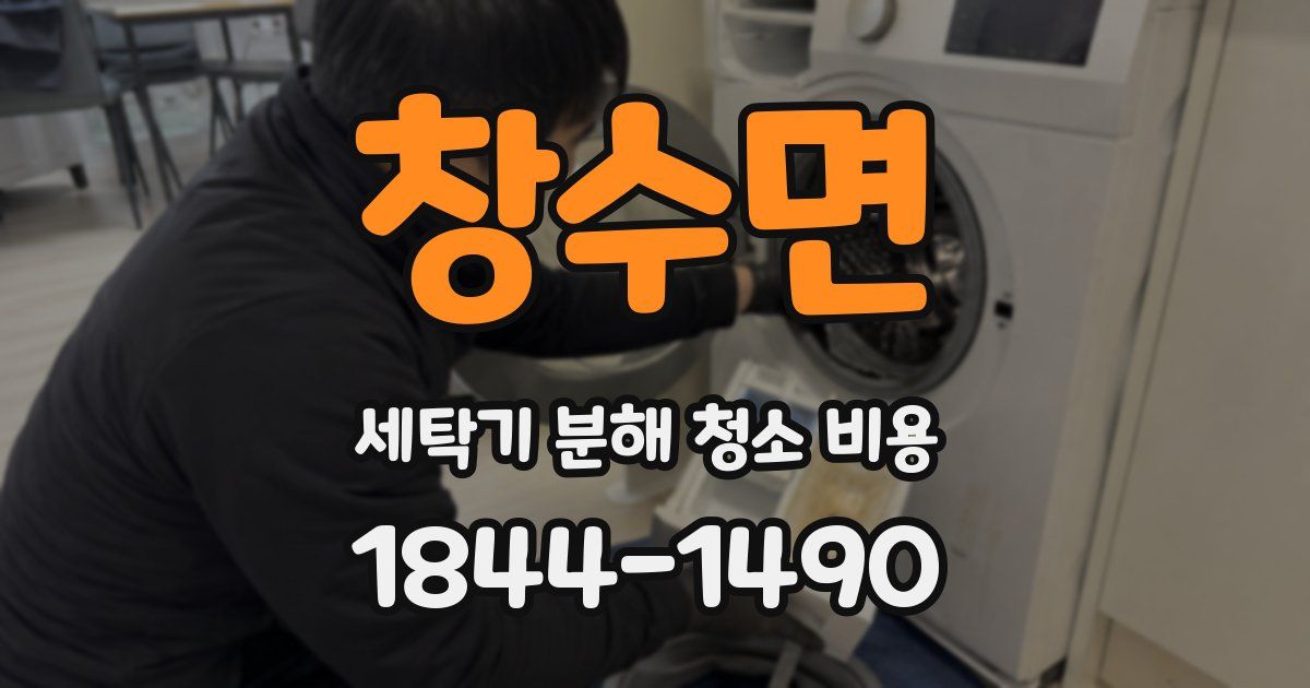 창수면 세탁기 분해 청소 비용