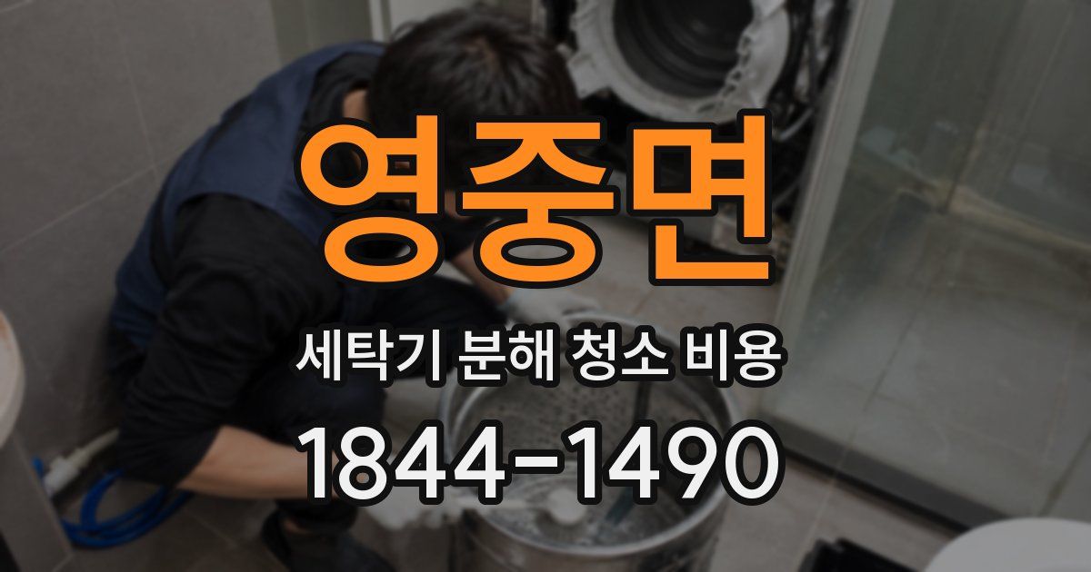 영중면 세탁기 분해 청소 비용