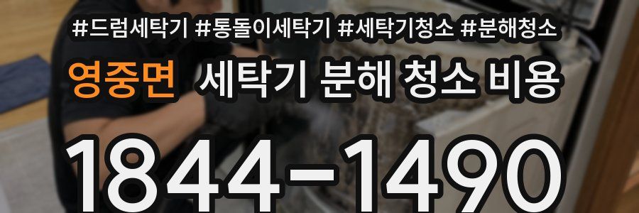 영중면 세탁기 분해 청소 비용