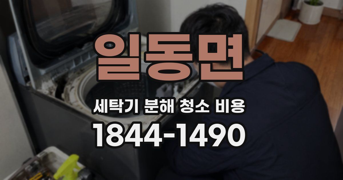 일동면 세탁기 분해 청소 비용