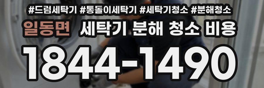 일동면 세탁기 분해 청소 비용