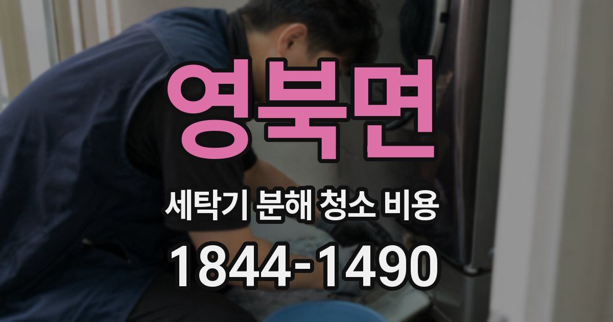 영북면 세탁기 분해 청소 비용