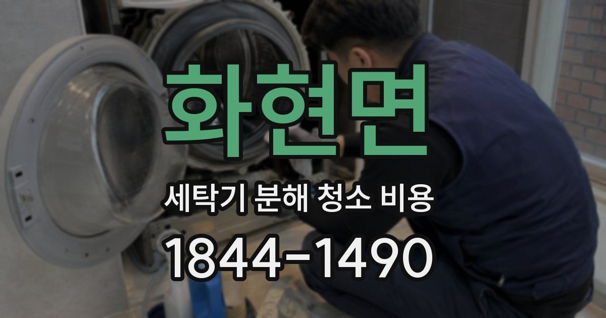 화현면 세탁기 분해 청소 비용