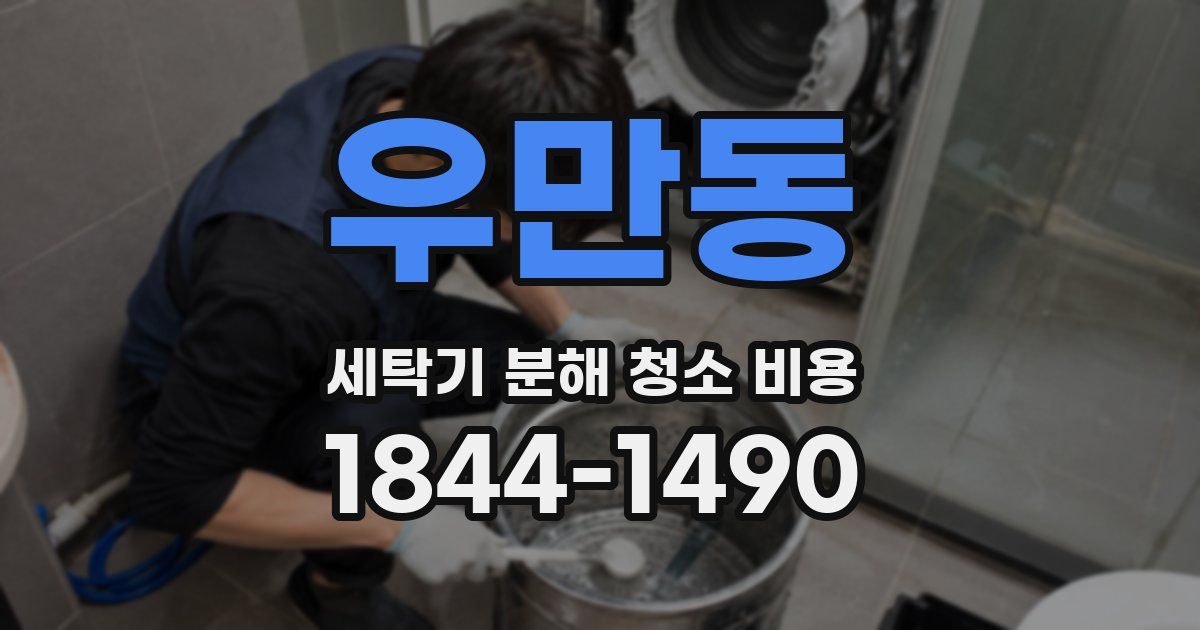 우만동 세탁기 분해 청소 비용