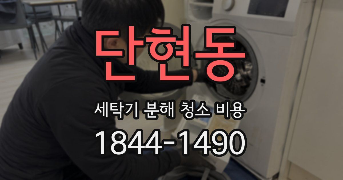 단현동 세탁기 분해 청소 비용