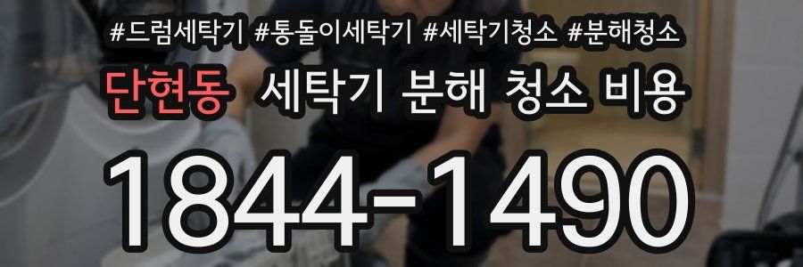 단현동 세탁기 분해 청소 비용