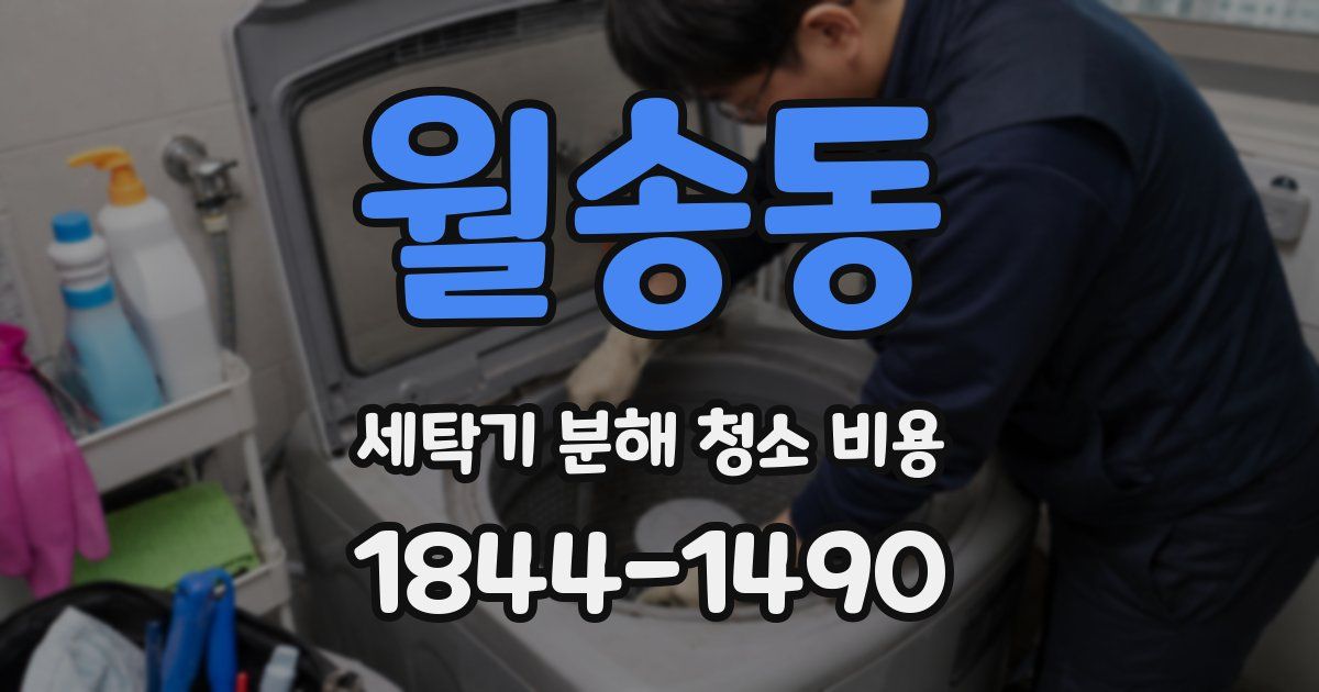 월송동 세탁기 분해 청소 비용
