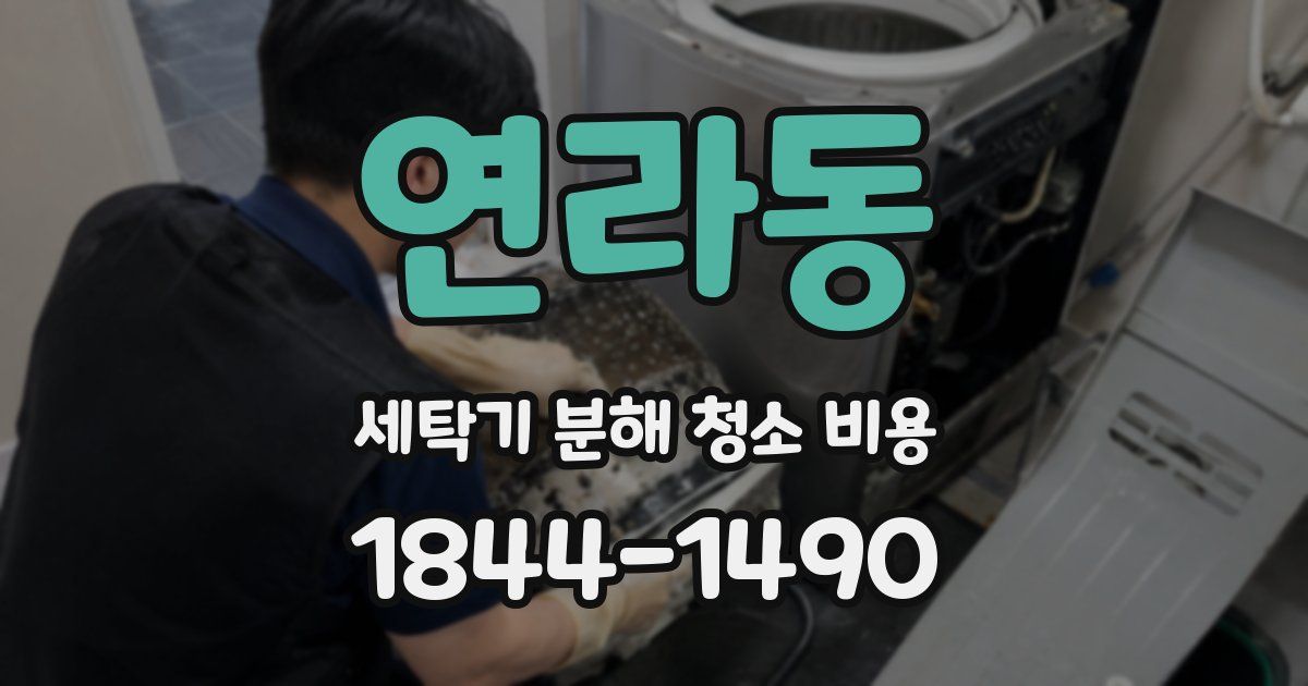 연라동 세탁기 분해 청소 비용