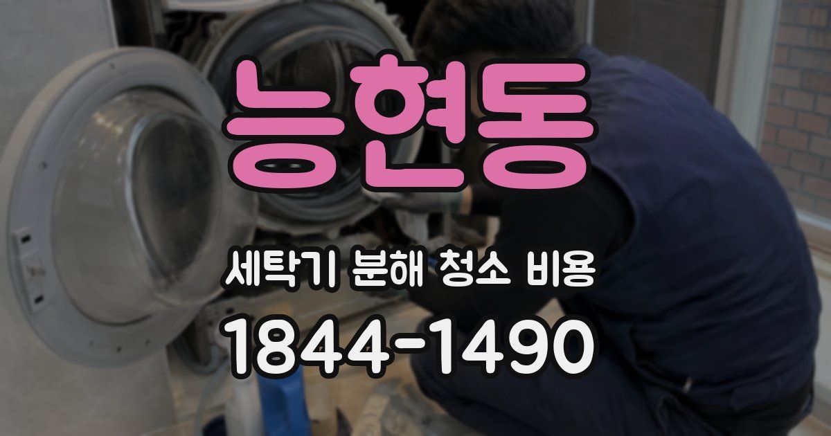 능현동 세탁기 분해 청소 비용