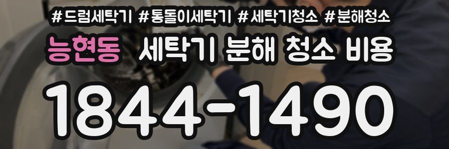 능현동 세탁기 분해 청소 비용
