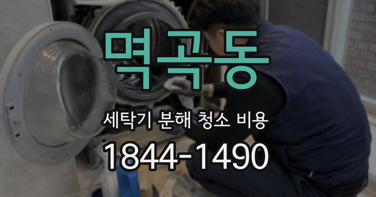 멱곡동 세탁기 분해 청소 비용