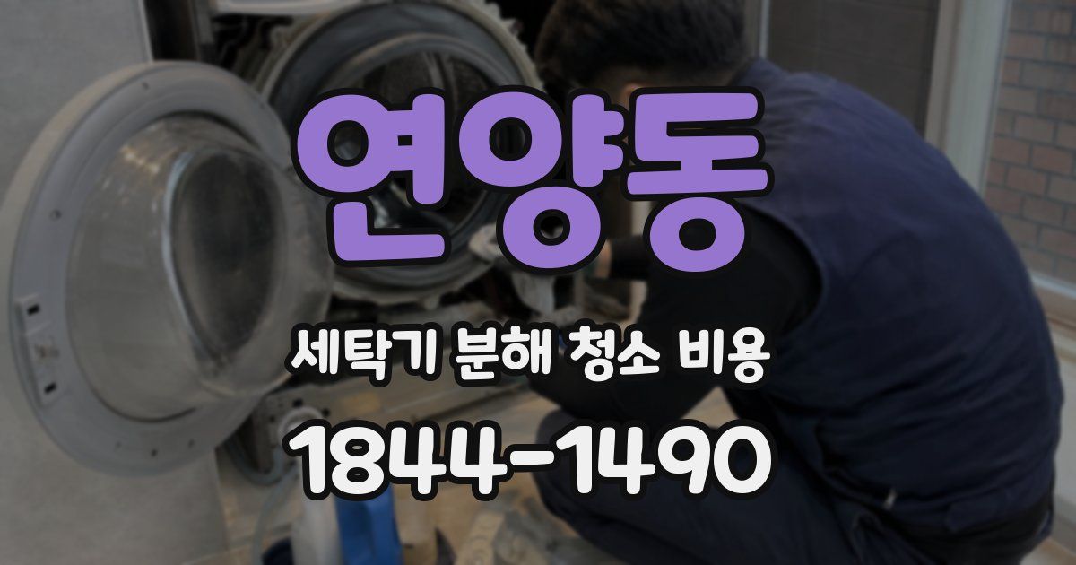 연양동 세탁기 분해 청소 비용