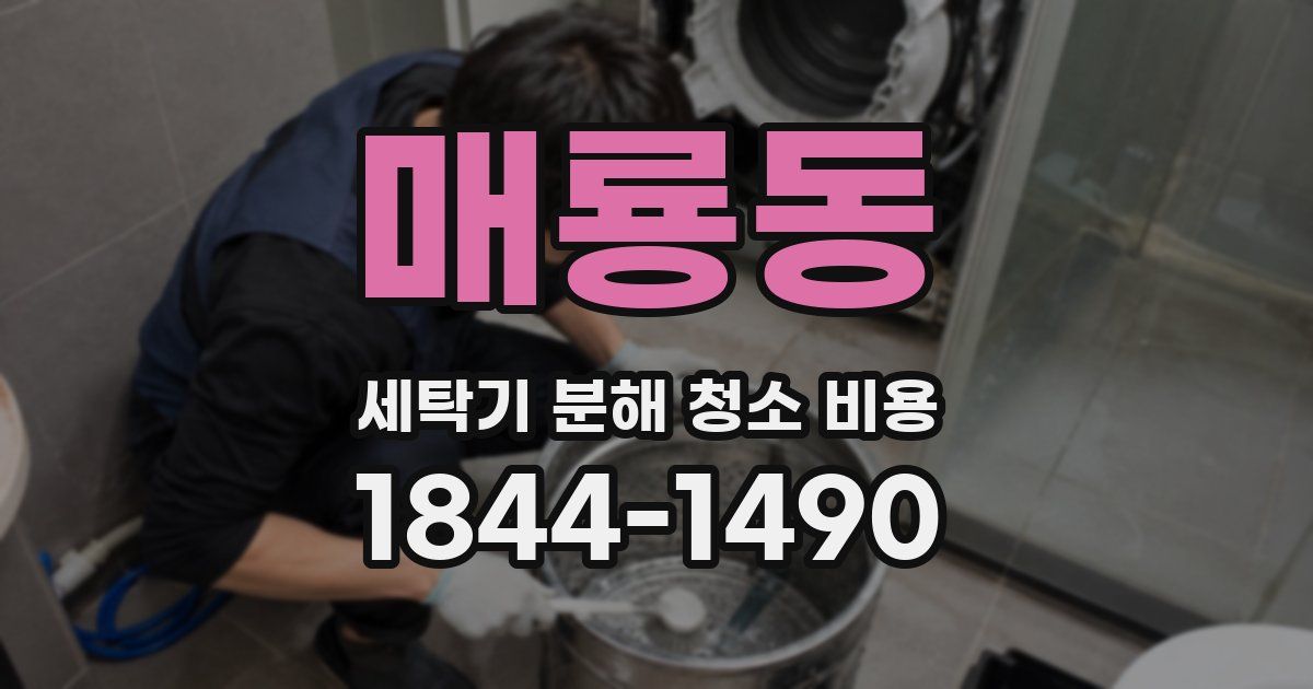 매룡동 세탁기 분해 청소 비용