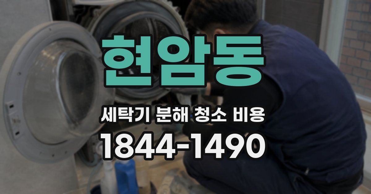 현암동 세탁기 분해 청소 비용