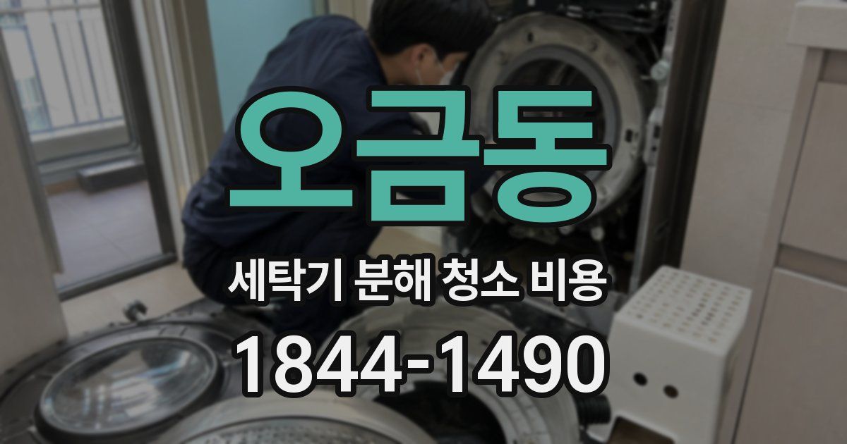 오금동 세탁기 분해 청소 비용