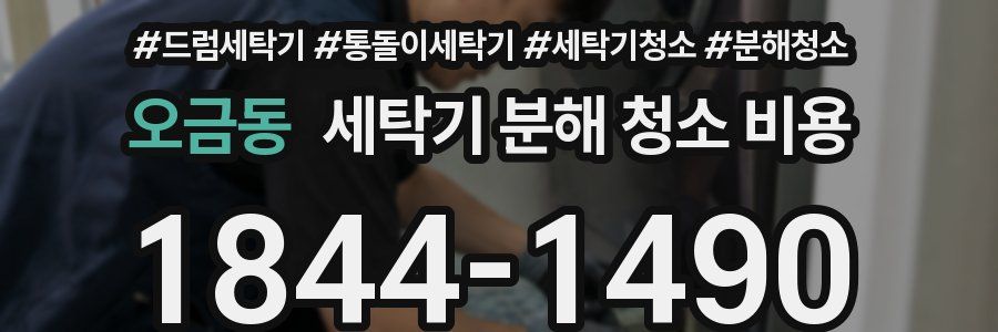 오금동 세탁기 분해 청소 비용