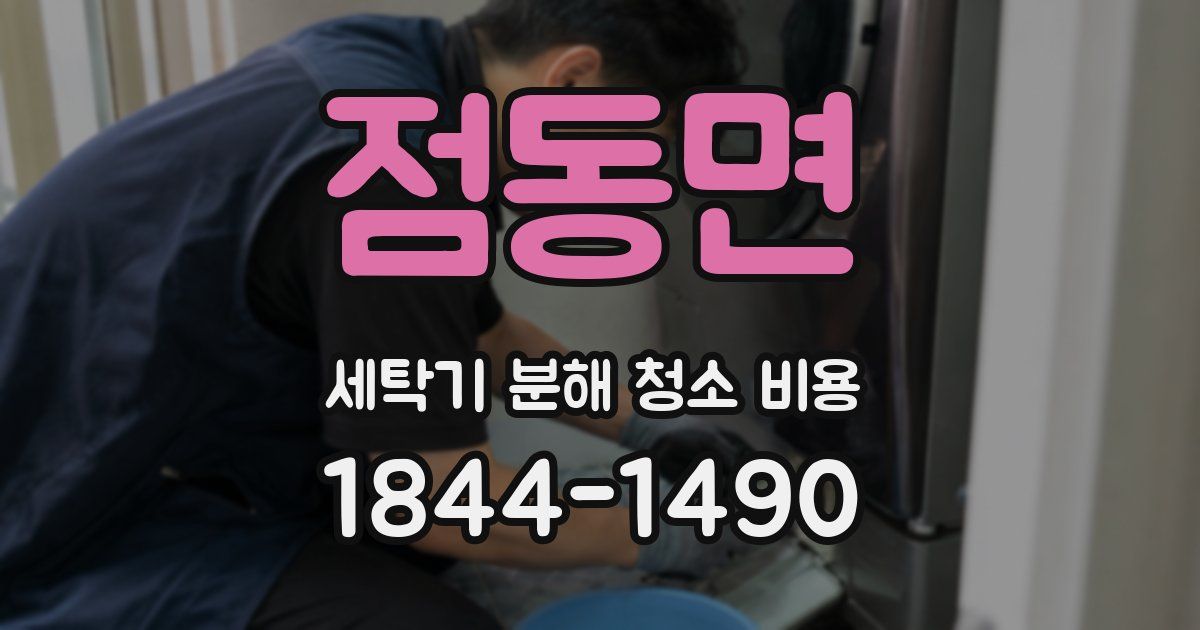 점동면 세탁기 분해 청소 비용