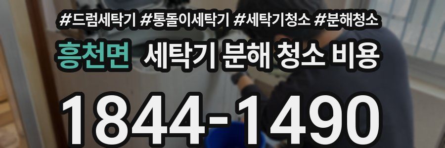흥천면 세탁기 분해 청소 비용
