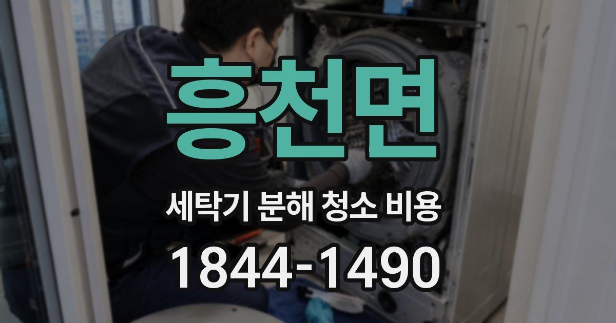 흥천면 세탁기 분해 청소 비용