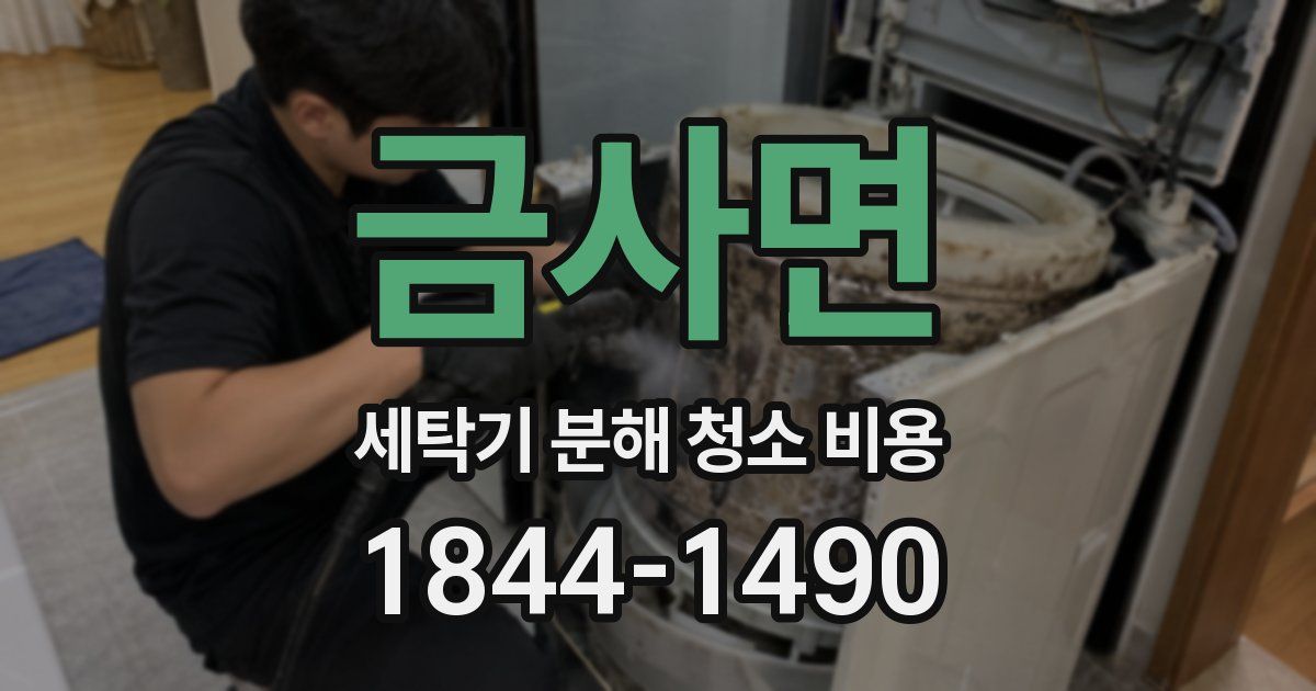 금사면 세탁기 분해 청소 비용