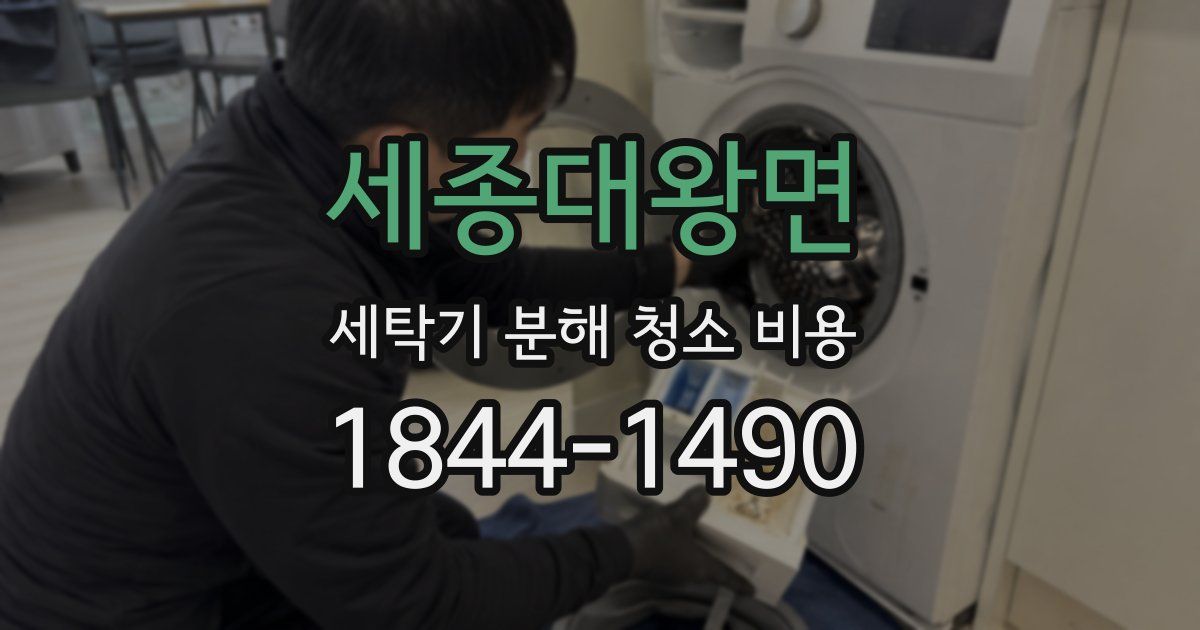 세종대왕면 세탁기 분해 청소 비용