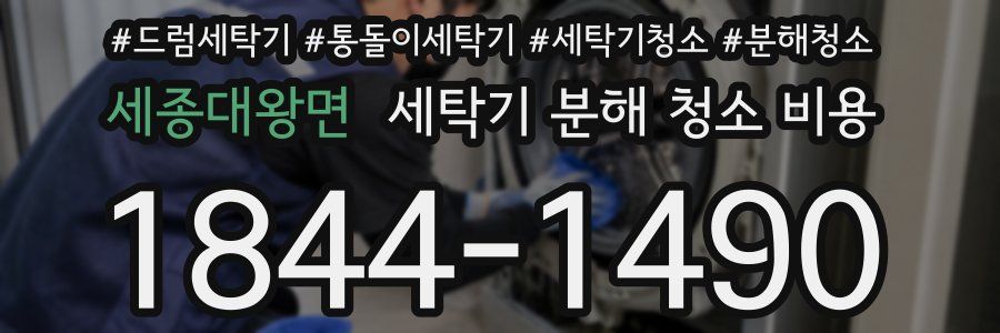 세종대왕면 세탁기 분해 청소 비용