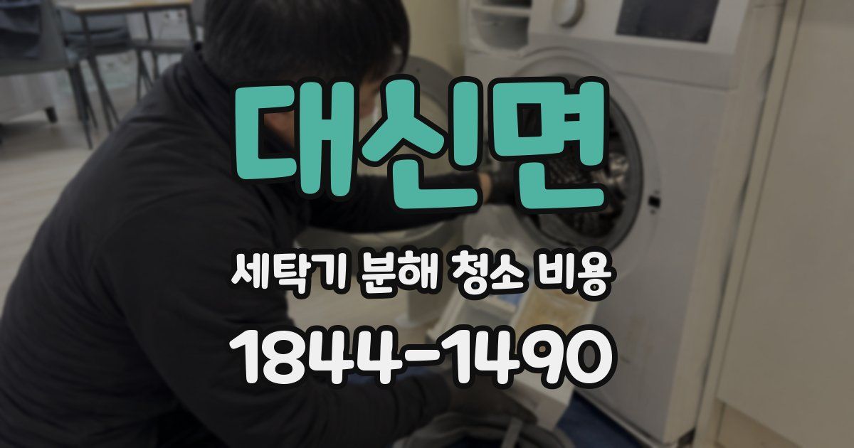 대신면 세탁기 분해 청소 비용