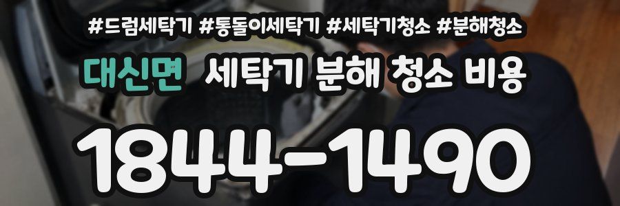 대신면 세탁기 분해 청소 비용