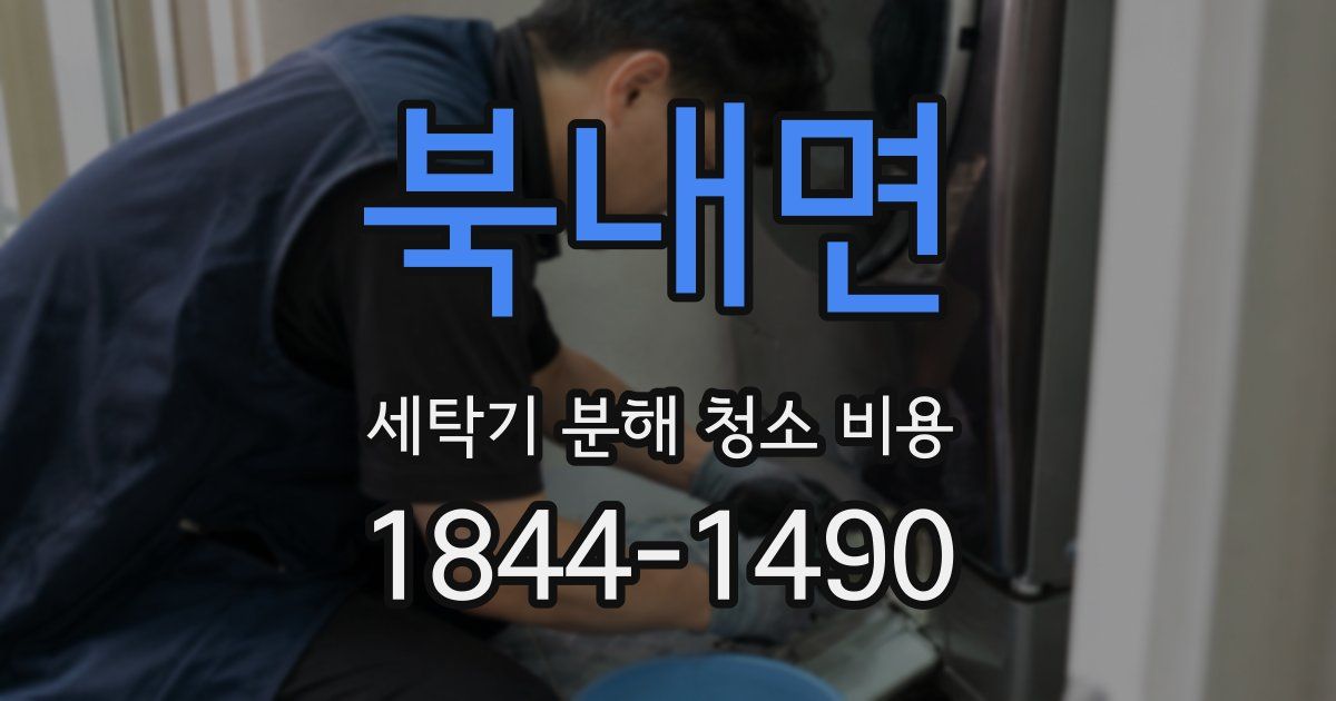 북내면 세탁기 분해 청소 비용