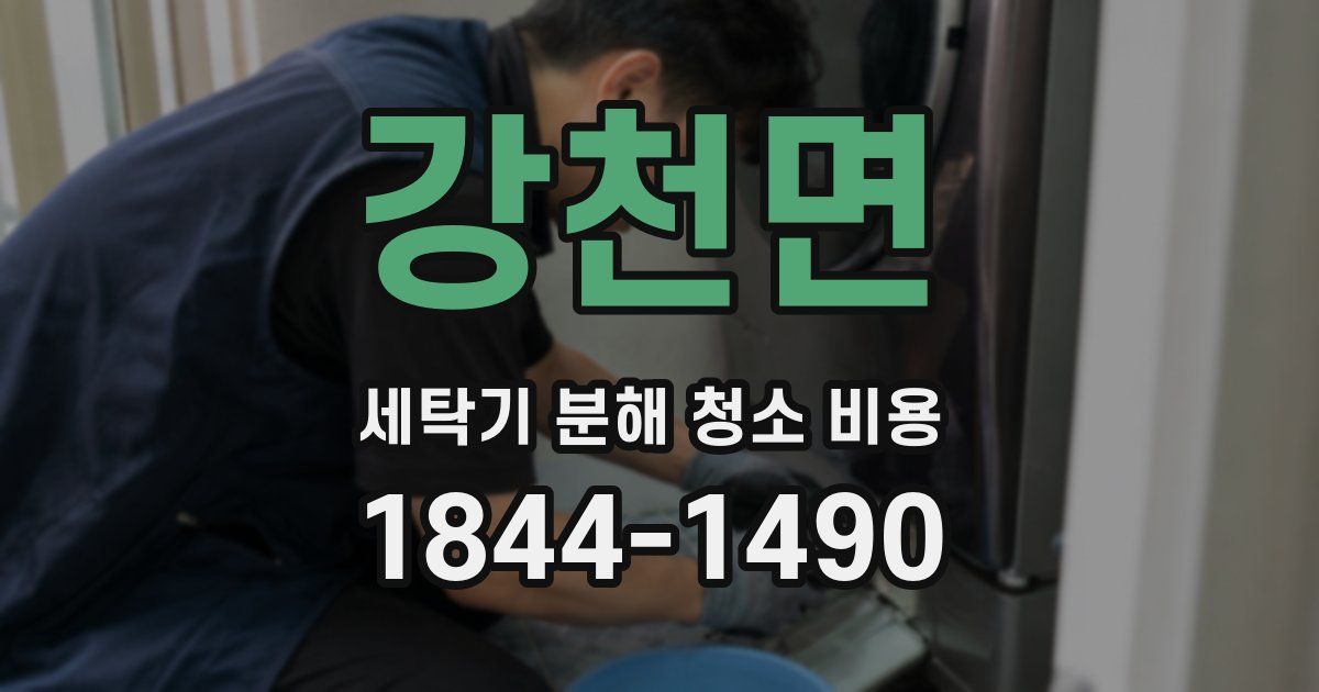 강천면 세탁기 분해 청소 비용