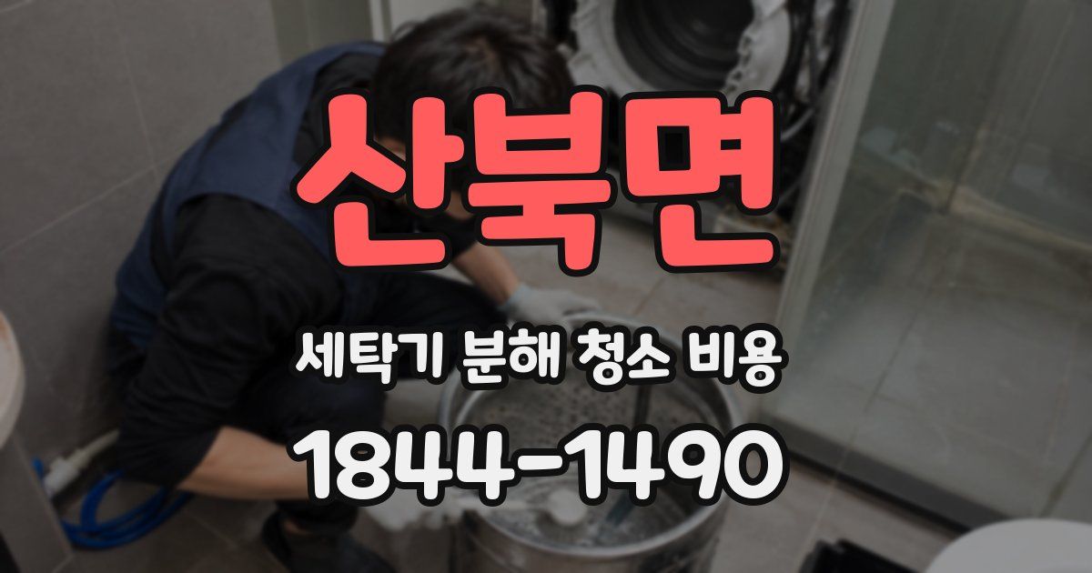 산북면 세탁기 분해 청소 비용