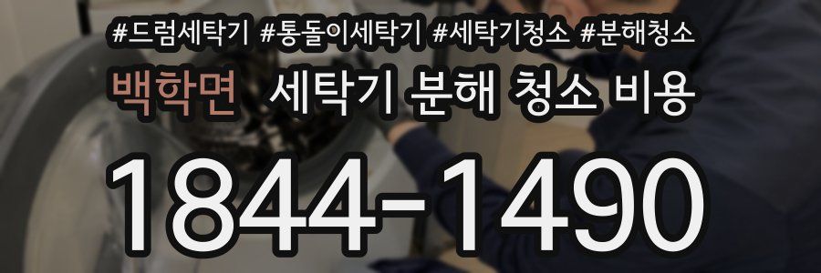 백학면 세탁기 분해 청소 비용