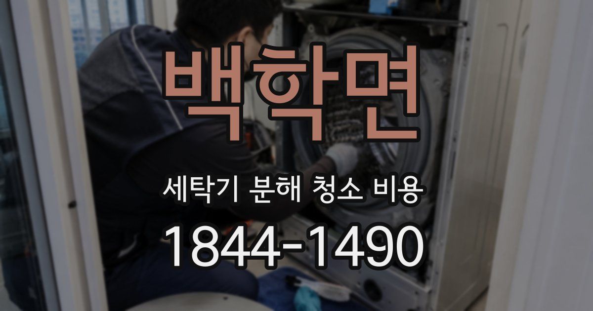 백학면 세탁기 분해 청소 비용