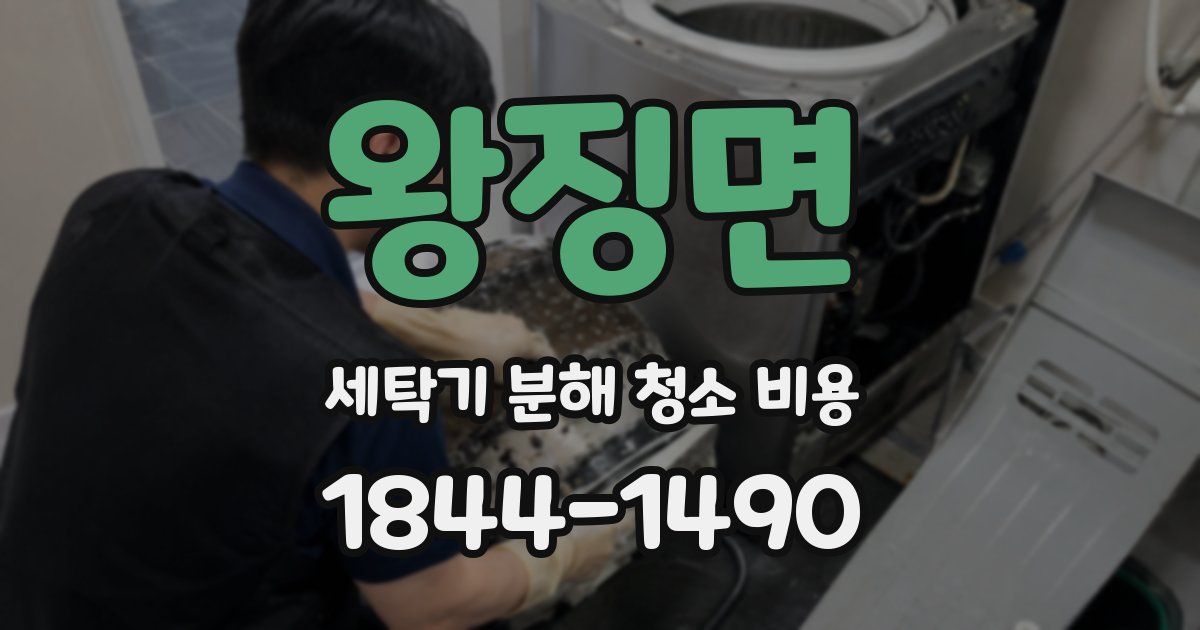 왕징면 세탁기 분해 청소 비용
