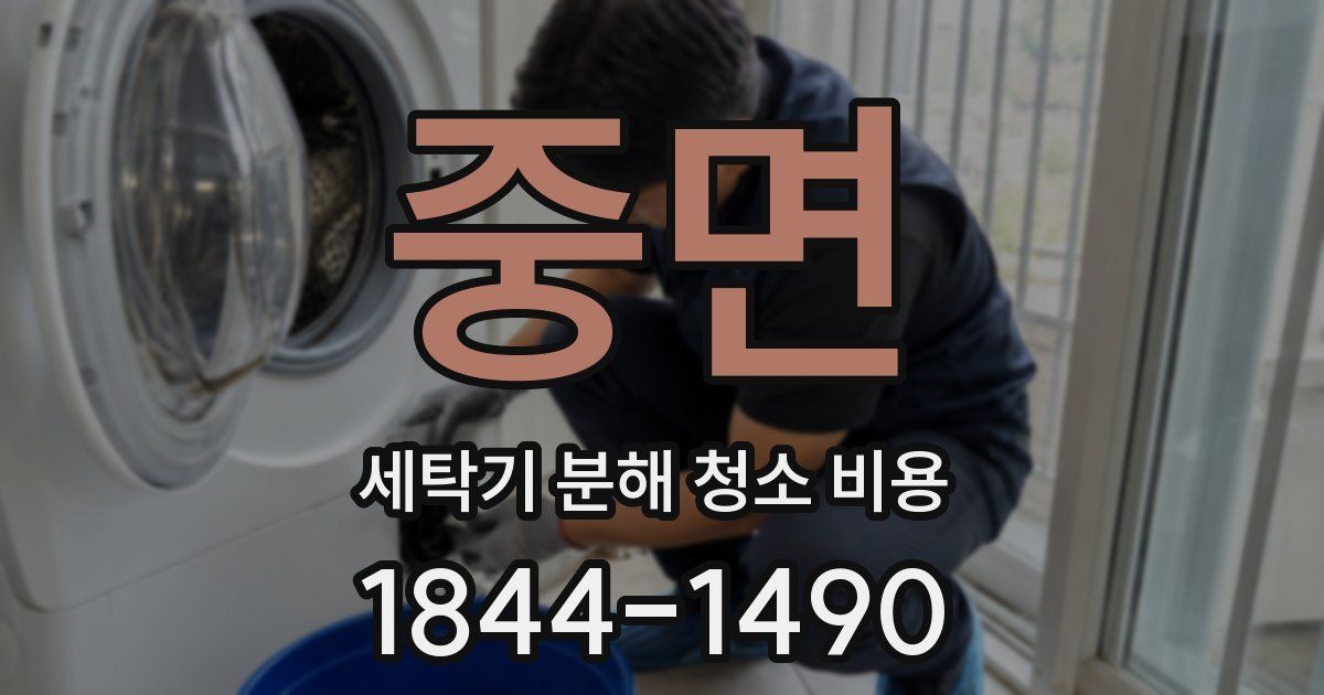 중면 세탁기 분해 청소 비용