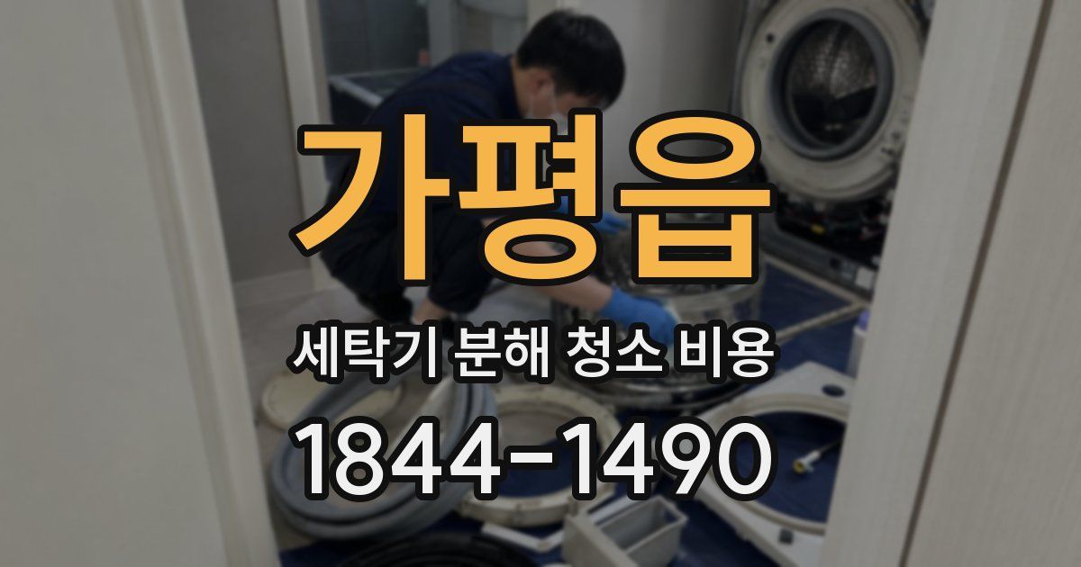 가평읍 세탁기 분해 청소 비용