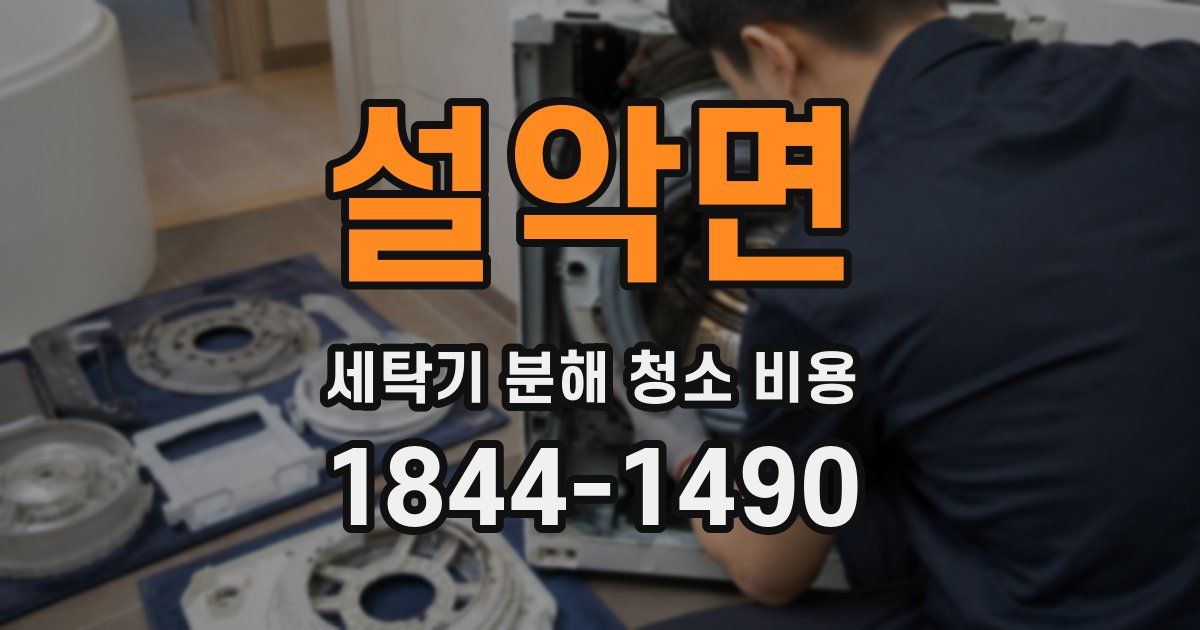 설악면 세탁기 분해 청소 비용