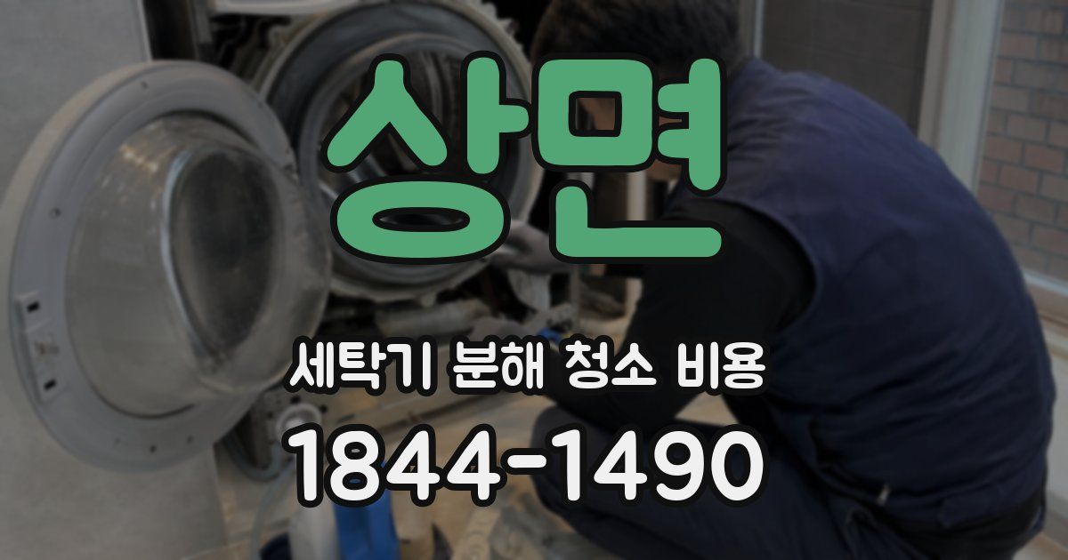 상면 세탁기 분해 청소 비용