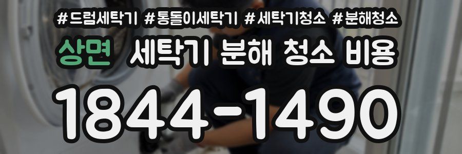상면 세탁기 분해 청소 비용