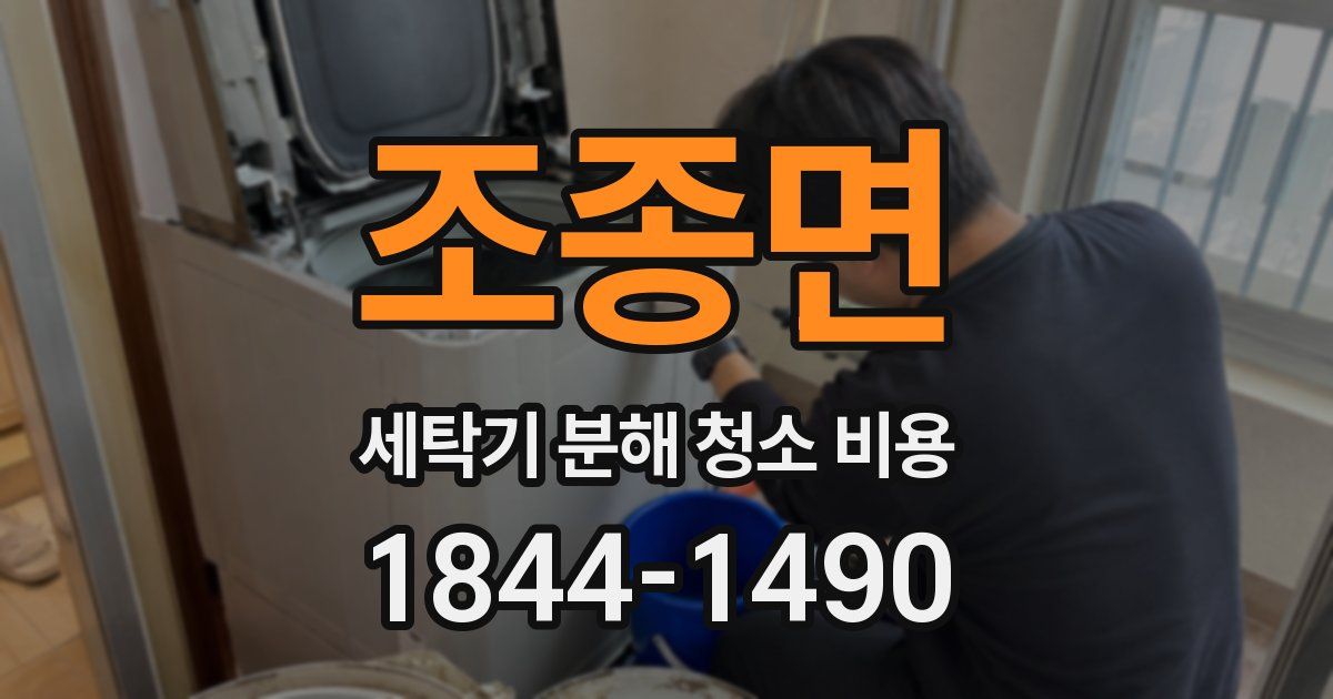 조종면 세탁기 분해 청소 비용