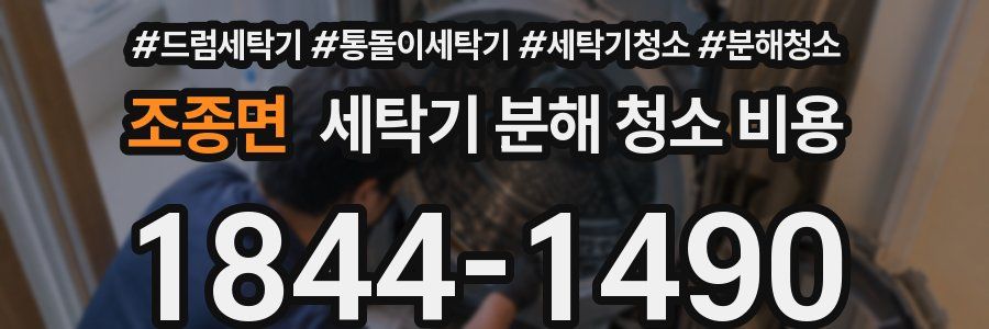 조종면 세탁기 분해 청소 비용