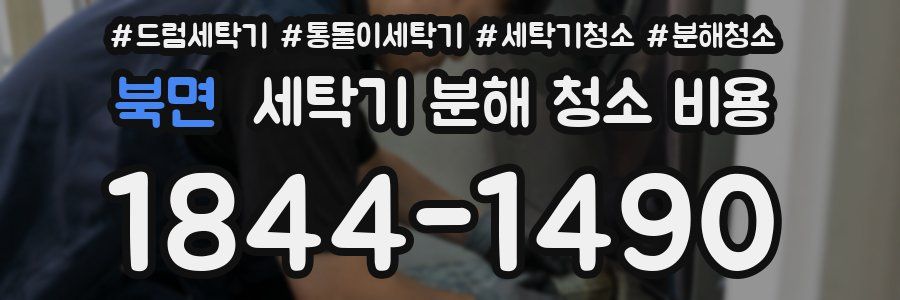 북면 세탁기 분해 청소 비용