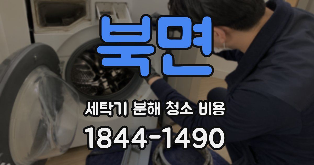 북면 세탁기 분해 청소 비용