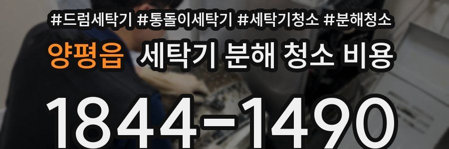 양평읍 세탁기 분해 청소 비용