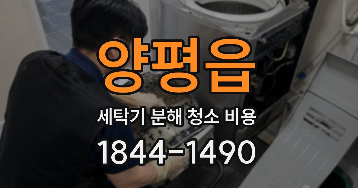 양평읍 세탁기 분해 청소 비용
