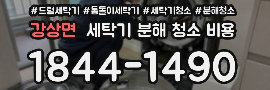 강상면 세탁기 분해 청소 비용