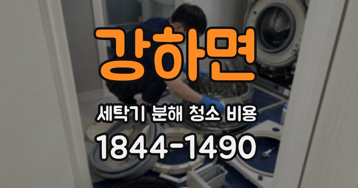강하면 세탁기 분해 청소 비용