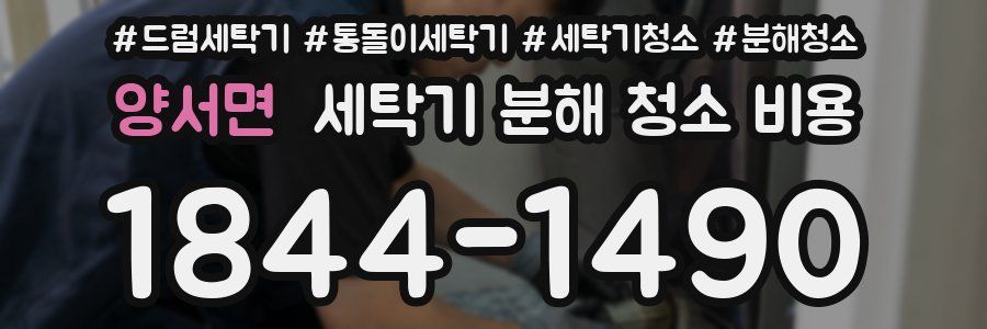 양서면 세탁기 분해 청소 비용