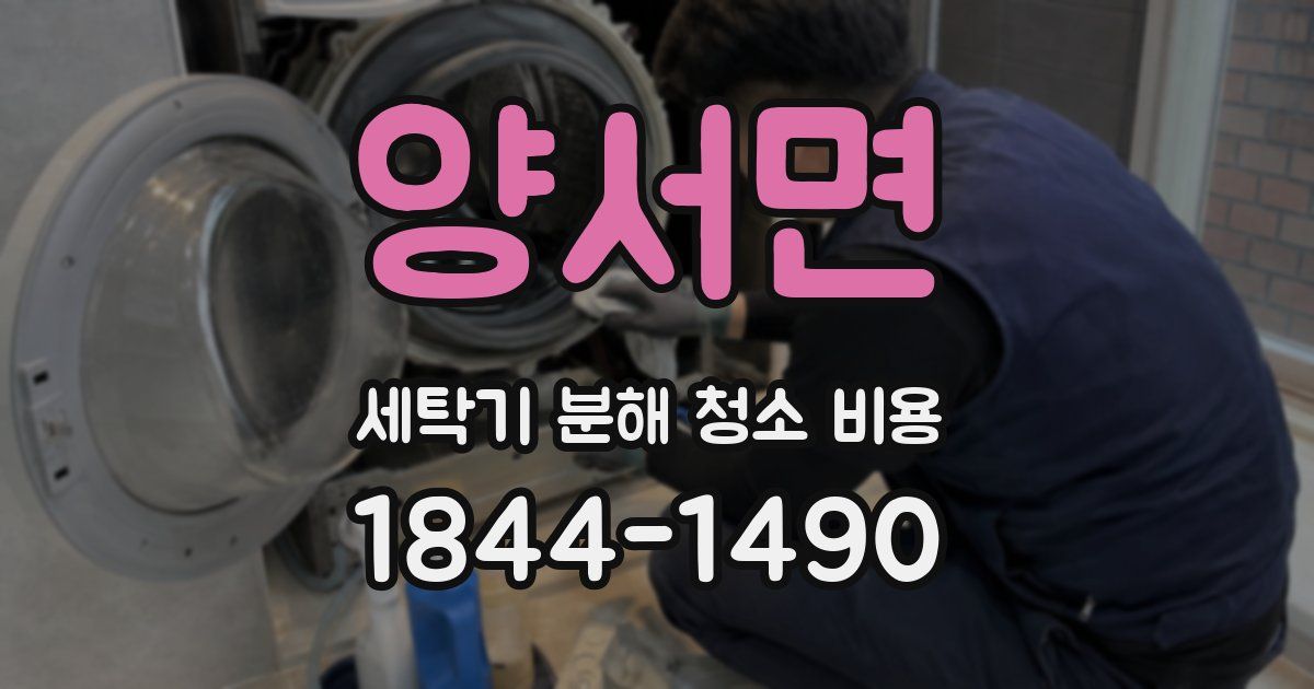 양서면 세탁기 분해 청소 비용